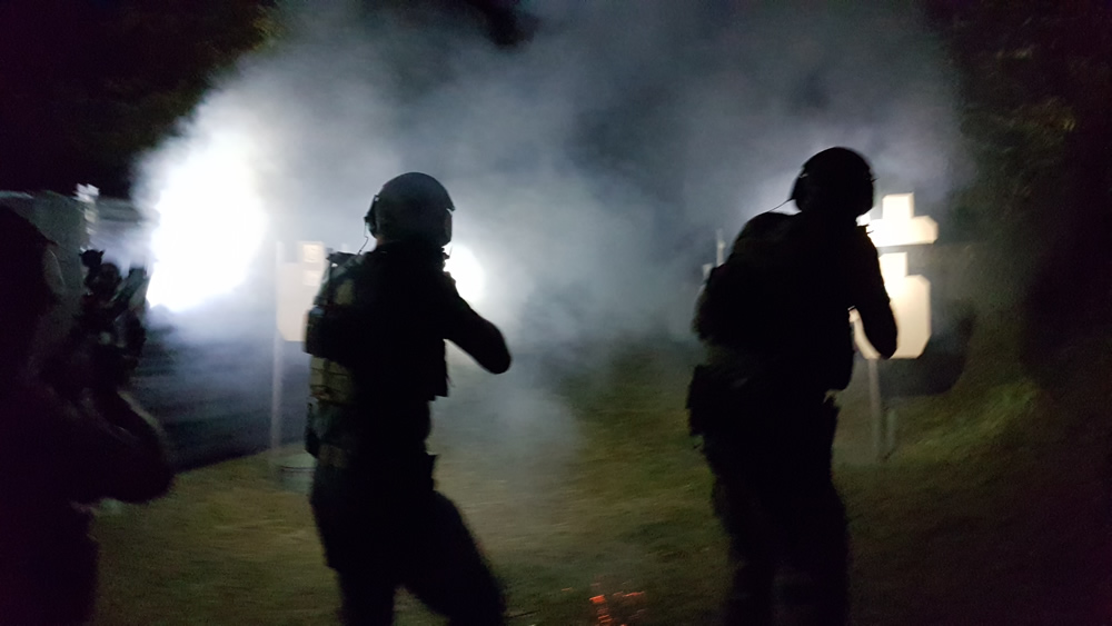 DELTA CQB VETERAN low – no light